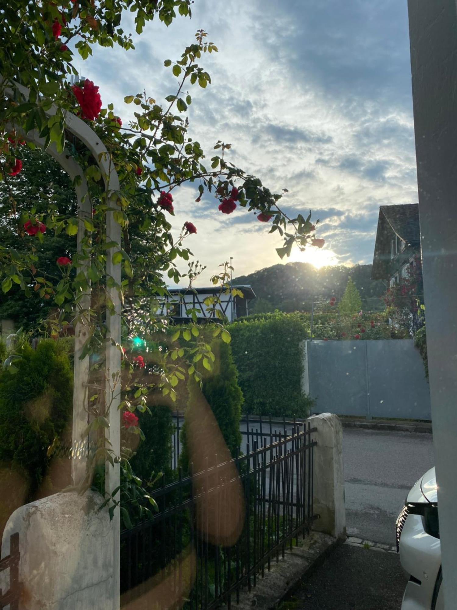 Mia Apartment Lustenau Dış mekan fotoğraf
